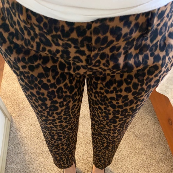 Leopard print pants - Picture 1 of 8